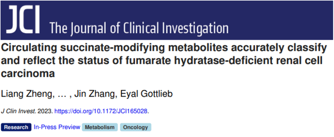 JCI 郑亮团队发现遗传性平滑肌瘤病和肾细胞癌综合征新型诊断和代谢机制