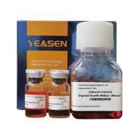 小鼠肠类器官生长培养基