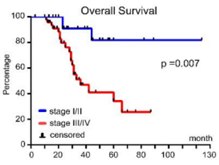 JCI 郑亮团队发现遗传性平滑肌瘤病和肾细胞癌综合征新型诊断和代谢机制