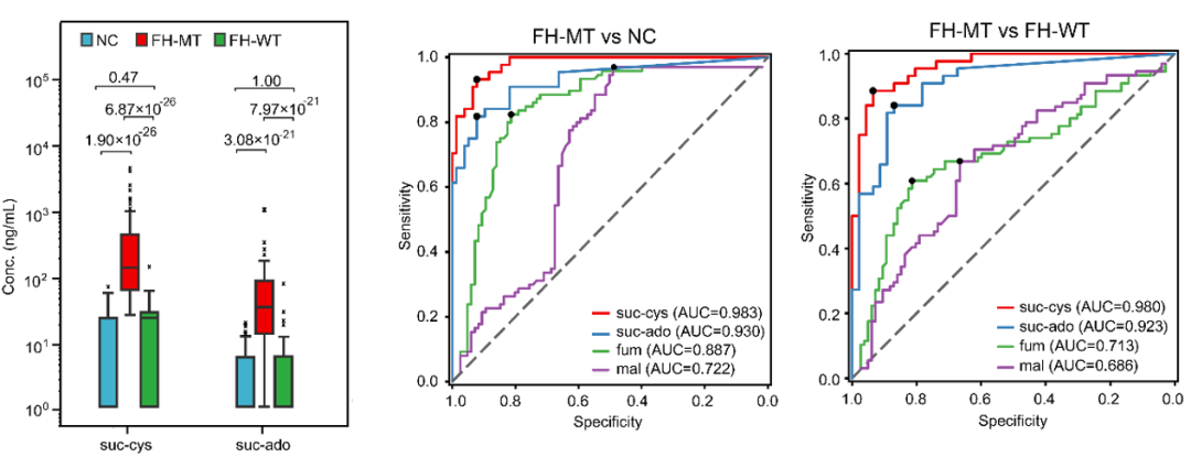JCI 郑亮团队发现遗传性平滑肌瘤病和肾细胞癌综合征新型诊断和代谢机制