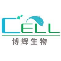 OCI-LY3/OCI-LY3细胞系/OCI-LY3细胞株/OCI-LY3人弥漫大B细胞淋巴瘤细胞