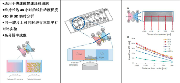 新闻图片4
