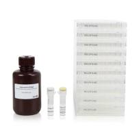 MabTech 3420-4HPW-2 ELISpot Plus: Human IFN-γ (HRP)