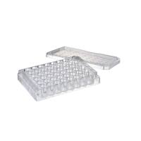 Watson 197-48CPS 48孔细胞培养板,无菌,独立孔井