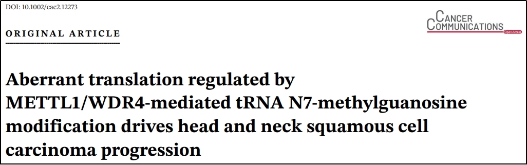翻译组学技术应用 | METTL1/WDR4介导的tRNA m7G修饰调控头颈部鳞癌进展