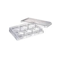 Watson 197-06CPS 6孔细胞培养板,无菌,独立孔井