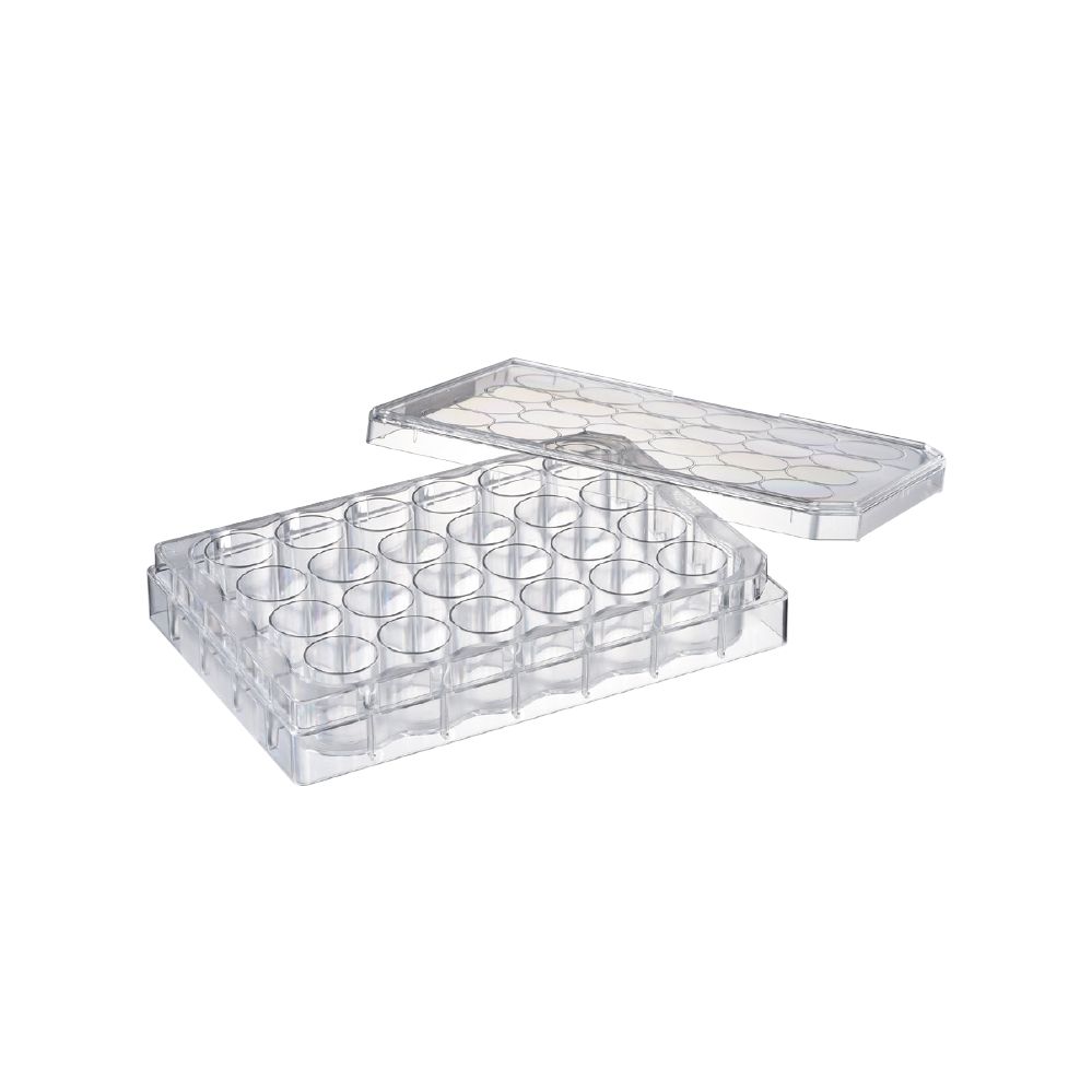 Watson 197-24CPS 24孔细胞培养板,无菌,独立孔井