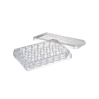 Watson 197-24CPS 24孔细胞培养板,无菌,独立孔井