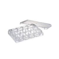 Watson 197-12CPS 12孔细胞培养板,无菌,独立孔井