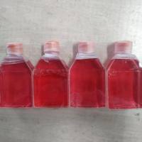 小鼠骨髓间充质干细胞永生化+GFP/免疫荧光鉴定