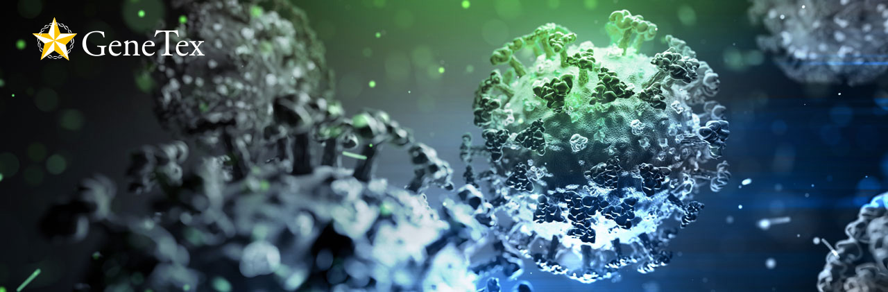 抑制SARS-CoV-2变异株病毒活性之广效性天然产物