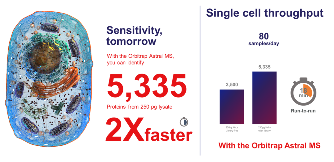 颠覆认知,重塑可能 | 全新Orbitrap Astral质谱仪在蛋白质组学应用中的进展