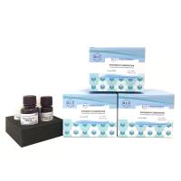 博鹭腾WB制胶试剂盒