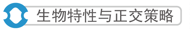新闻图片3