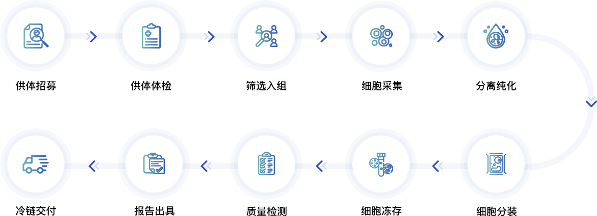 PBMC丨人外周血单个核细胞 | PBMC细胞 | 人外周血