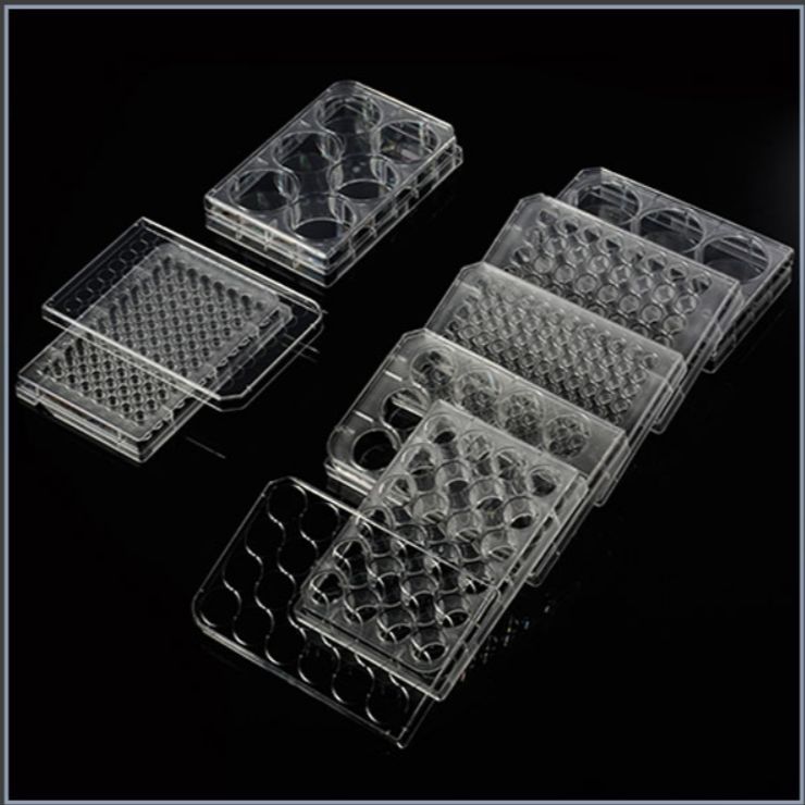 Biologix 07-6006多孔细胞培养板， 6孔，TC处理，消毒，1个/袋，50袋/箱 