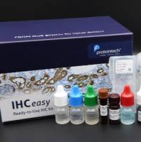 PYCR1 Polyclonal antibody