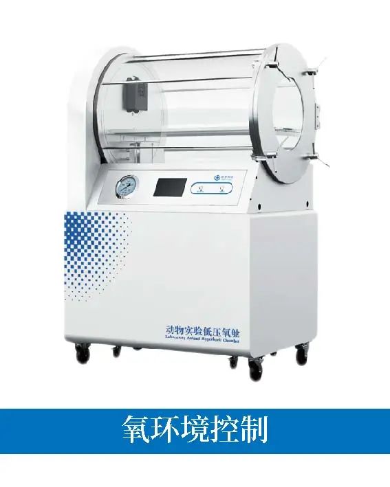 小鼠和大鼠在低氧时通气反应和代谢特征的不同