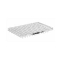 ABI 4306737 光学96孔反应板半裙边带条码