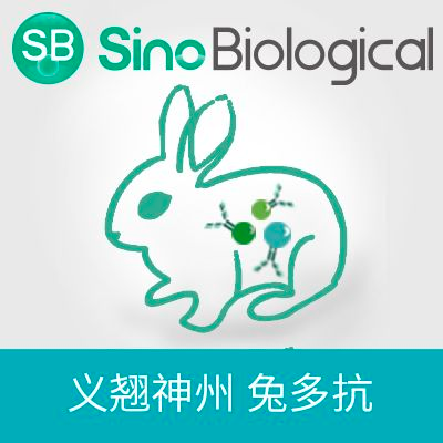 PGM2L1 兔多抗 (抗原亲和纯化)