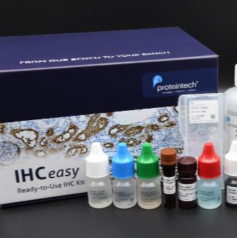 Aquaporin 4 Polyclonal antibody