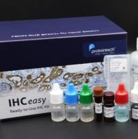 dGK Polyclonal antibody