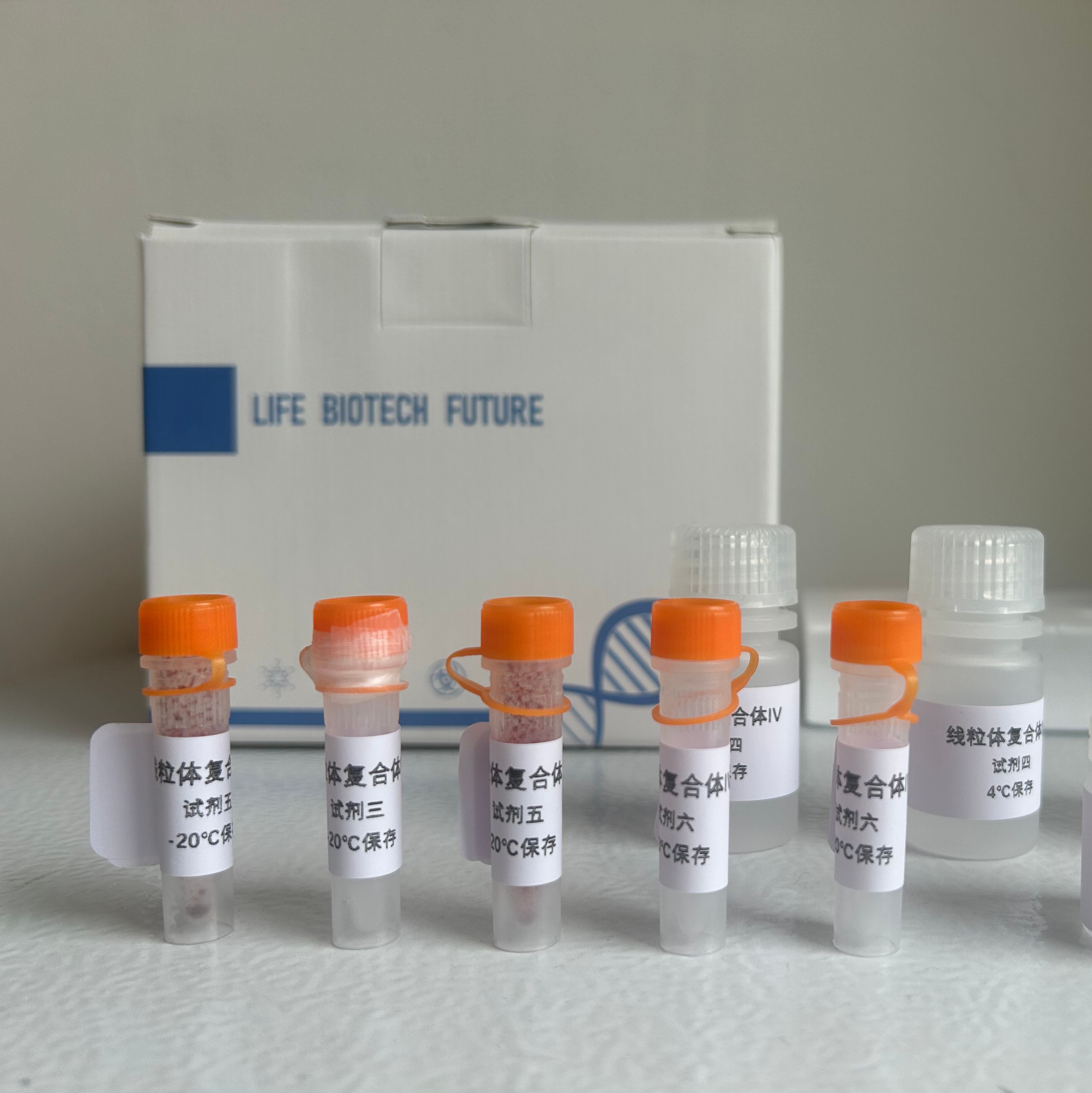 NAD激酶（NADK）测试盒（可见分光光度法）
