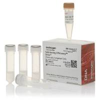 Subcloning Efficiency™ DH5α 感受态细胞