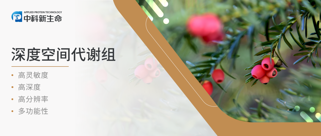 项目文章Plant J（IF 7）| 杭州师范大学王慧中团队通过空间代谢+单细胞测序等揭示红豆杉幼茎细胞特异的紫杉烷合成调控模式