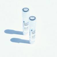 FOLR1 Polyclonal antibody