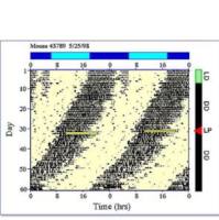 生物节律研究软件,昼夜节律分析软件,ClockLab节律分析软件