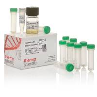 DH5α 感受态细胞