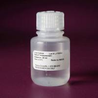 Pierce™ 免疫染色增强剂