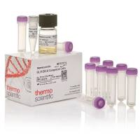 BL21(DE3) 感受态细胞