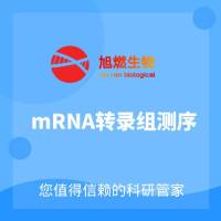 mRNA转录组测序