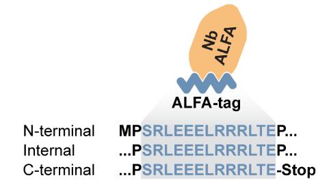 上海宇北医疗器械有限公司成为Nanotag渠道代理销售商