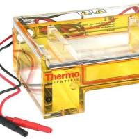 Owl™ EasyCast™ B2 微型凝胶电泳系统