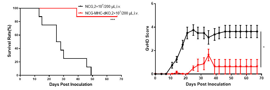 出现GvHD怎么办？小鼠病恹恹？NCG-MHC-dKO帮您排忧解难