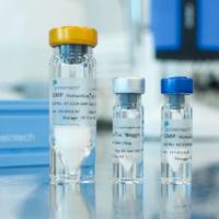 MIST1 Monoclonal antibody