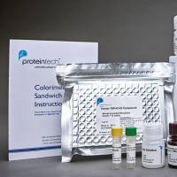 Alpha Parvin/Actopaxin Polyclonal antibody