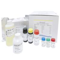巴马森林病毒抗体检测试剂盒