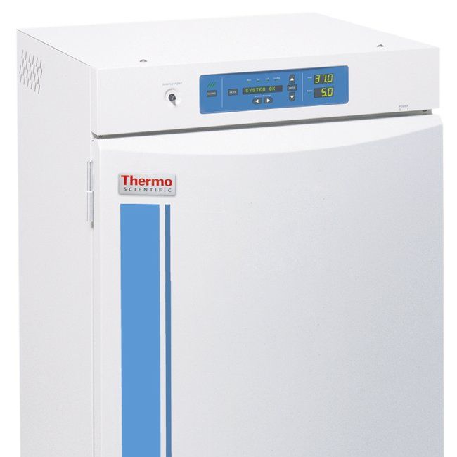 Thermo Scientific™
Forma™ 直热式 CO2 培养箱