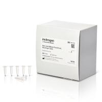 不含 RNase 的微量离心管