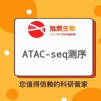 bulk ATAC-seq