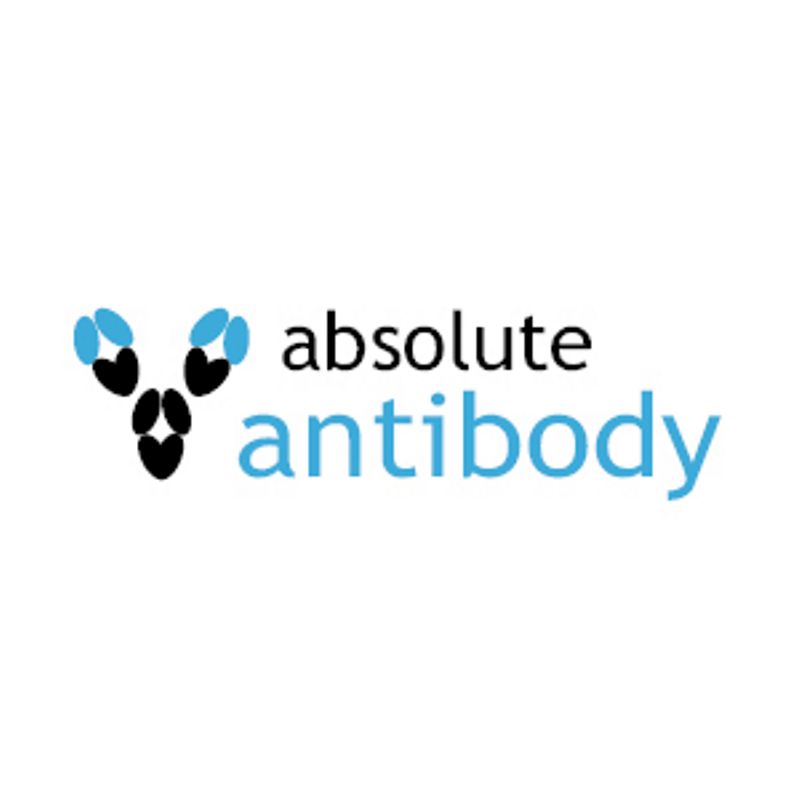 Absolute Antibody Ab00439-1.1 Anti-TrkA [MNAC13] 200ug 