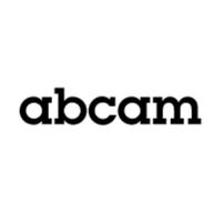Abcam ab128878 Anti-JunB 抗体 [EPR6518] 10µl