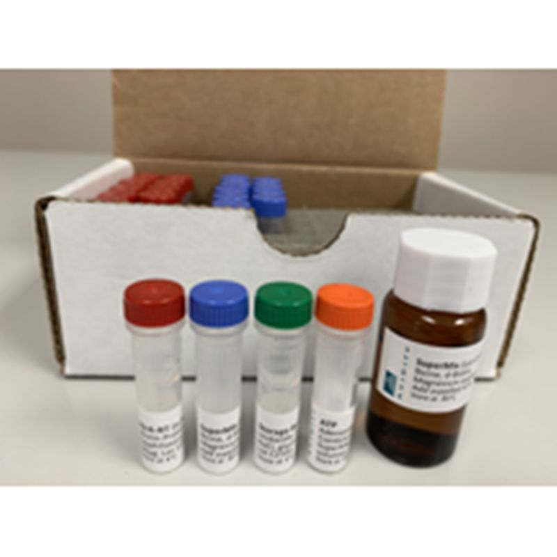 Avidity Bulk BirA-RT Bulk BirA Biotin-Protein Ligase RT– Lyophilized version for shipment at room temperature