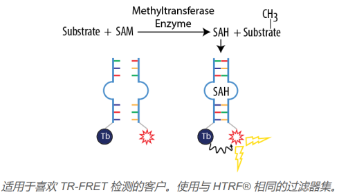 艾美捷AptaFluor SAH甲基转移酶测定试剂盒解决方案