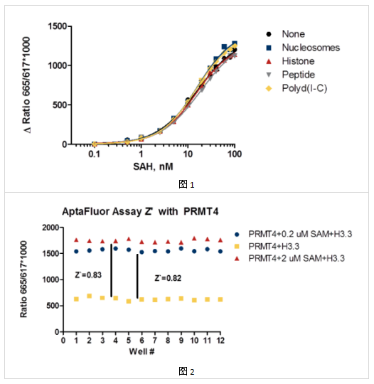 AptaFluor SAH甲基转移酶测定试剂盒，稳健高质量