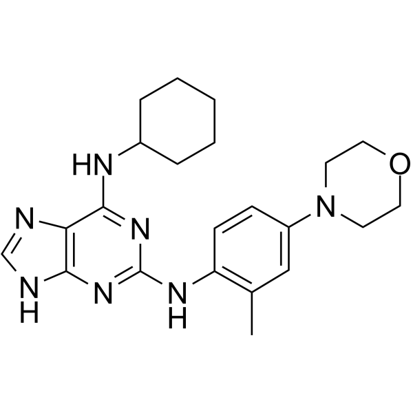 MPI-0479605 是一种有效的，选择性的，ATP 竞争